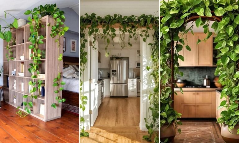 19 Pothos Plant Ideas For 2026