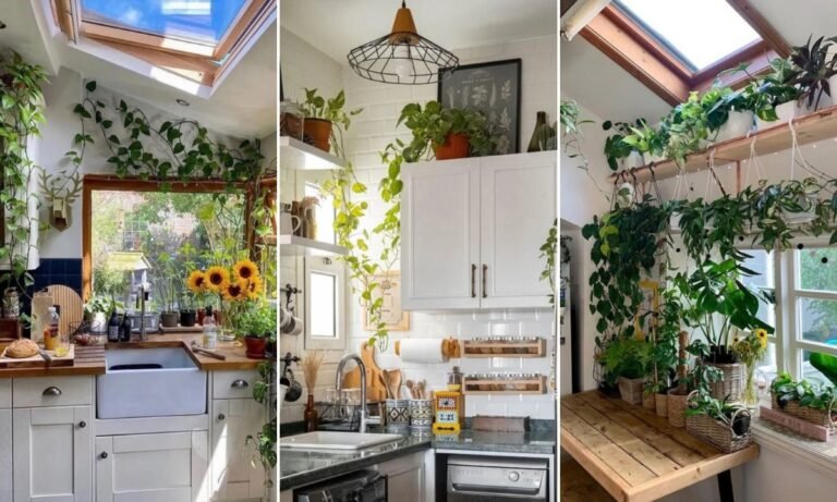 24 Kitchen Plants Ideas For 2026