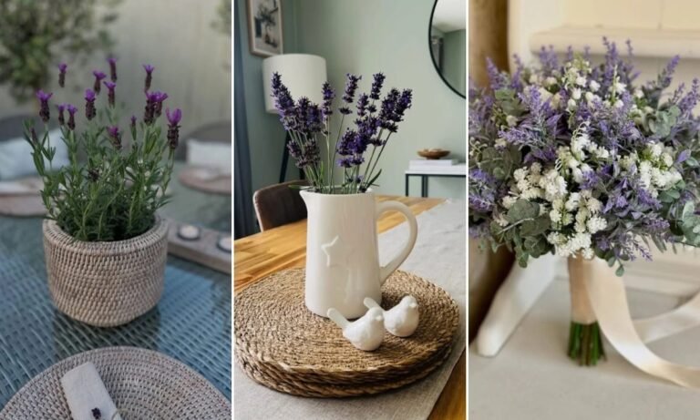 18 Lavender Flowers Ideas For 2026
