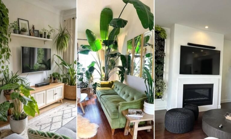 22 Living Room Plants Ideas For 2026