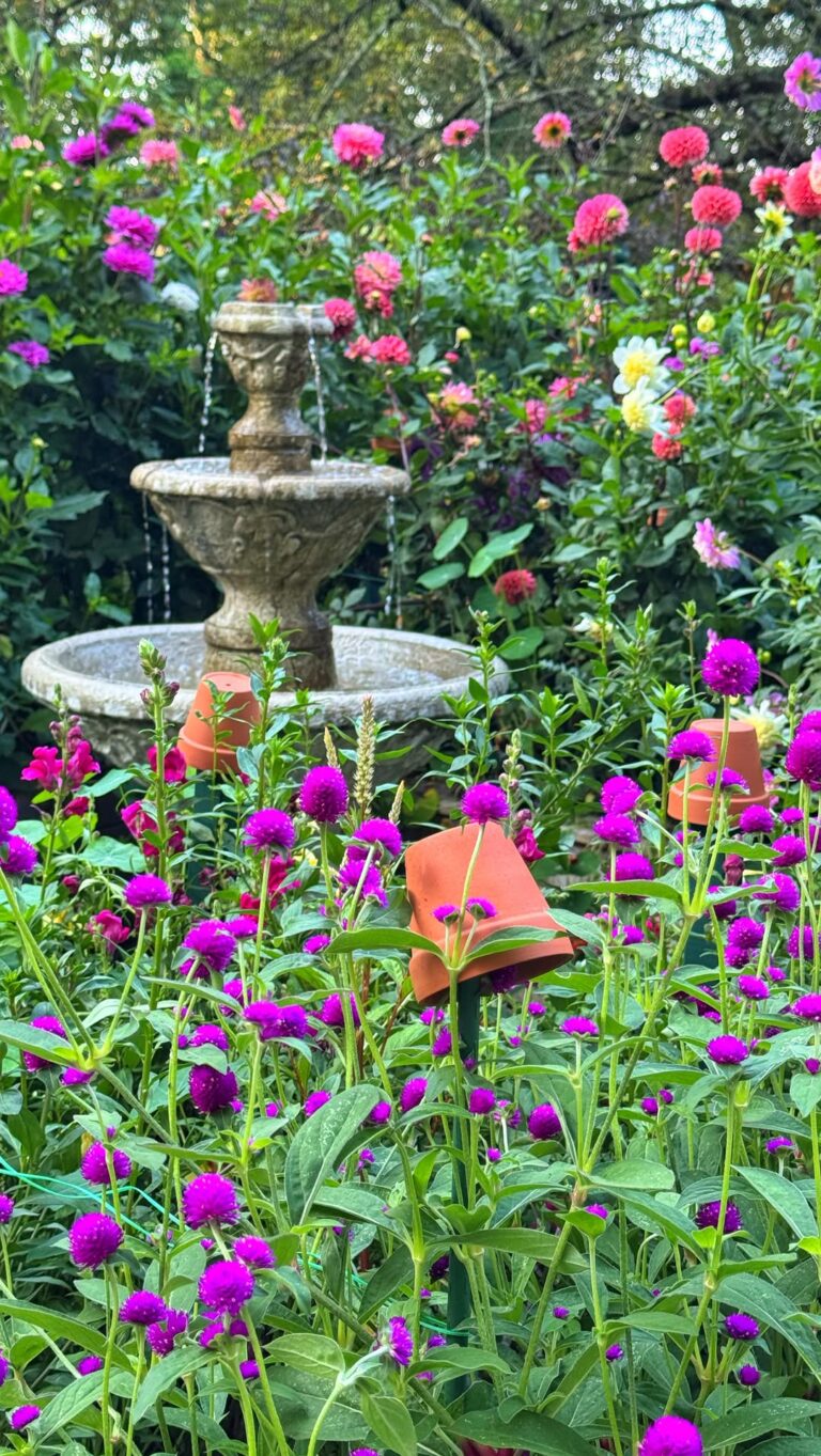 These Are The Gorgeous Flowers My Grandma Planted Every Spring